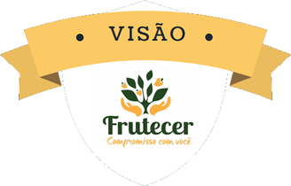 visao